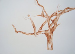 AGORA TODA TERRA É BARRO