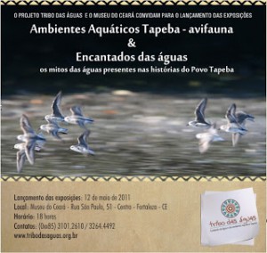AMBIENTE TAPEBA EM EXPOSIÇÃO