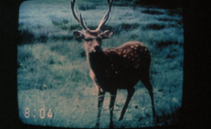 SEM SOL NA VILA DAS ARTES