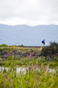 FILME DO MOVIMENTO MUMBLECORE NA VILA DAS ARTES