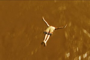 Mostra Cinema e Cidade