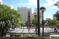 Paulo Angelim profere palestra gratuita sobre cidade saudável na CDL de Fortaleza