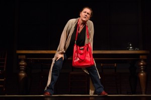 Peça A.M.A.D.A.S, com Elizabeth Savala, chega ao palco do Cineteatro São Luiz