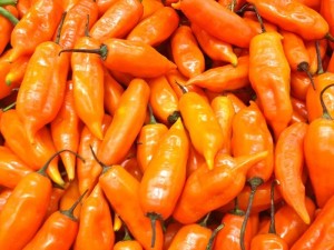 Pimenta: conheça as famosas cozinhas picantes e como usar a especiaria