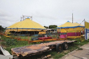 circo-mirtes-reproducao-diariodonordeste