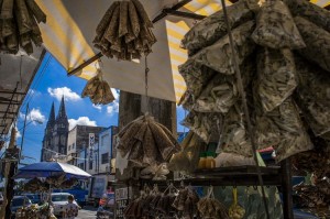Biblioteca Pública Espaço Estação recebe nova Exposição do Fotógrafo Celso Oliveira