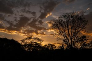 Museu da Fotografia Fortaleza  realiza palestra com a fotógrafa Sheila Oliveira