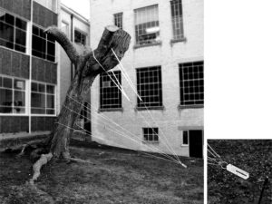 Mostra “Imensurável”, de Felippe Moraes segue em cartaz na Caixa Cultural Fortaleza