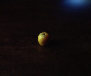 [SP] Últimos dias: Jordi Burch apresenta individual na Janaina Torres Galeria