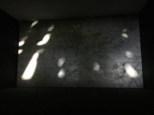 Maria Laet participa da 33ª Bienal de São Paulo