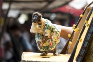 Centro Cultural Banco do Nordeste Fortaleza recebe Festival Internacional de Teatro Infantil do Ceará