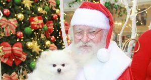 Papai Noel chegará em um charmoso Puma na Avenida Monsenhor Tabosa