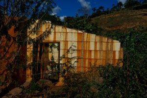 Relação entre crime ambiental e fotografia é tema de conversa no Porto Iracema das Artes