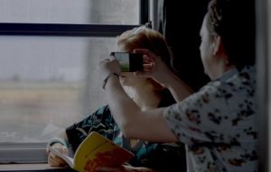 Festival Curta Cinema Anuncia os vencedores da edição 2019