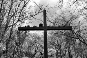 Exposição Santo Sertão em cartaz na Imagem Brasil Galeria