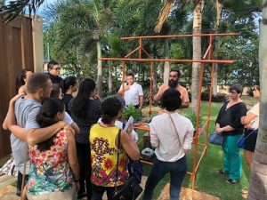 Oficina gratuita revela como ter o colorido das plantas o ano inteiro na sua casa