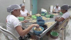 Inscrições abertas para o 3º Laboratório de Criação em Cultura Alimentar e Gastronomia Social da  Escola de Gastronomia Social Ivens Dias Branco