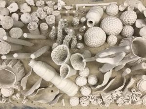 Parque Ibirapuera ganha obra que alerta para a importância da preservação dos recifes de corais