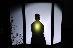 Festival Internacional de Teatro de Sombras