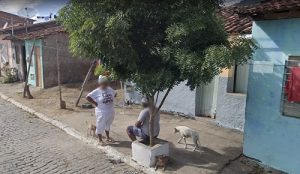 Cinema do Dragão exibe quatro curtas-metragens no projeto “Sessão Circular”