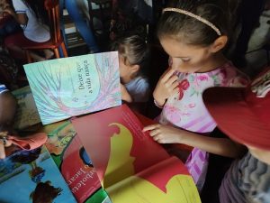 Projeto “Baú de Leitura – Territórios” disponibiliza mais de 4 mil livros em comunidades tradicionais e bibliotecas comunitárias no Ceará