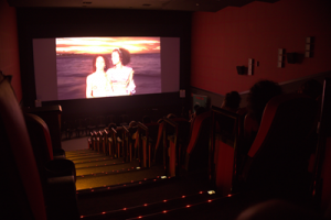 23º Festival NOIA registra recorde de inscritos e amplia participação internacional