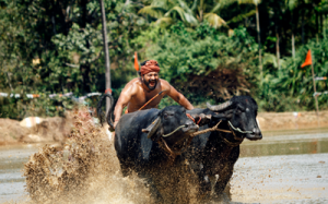 Festival do BRICS, pré-estreia especial e Seminário de Acessibilidade no Cinema do Dragão