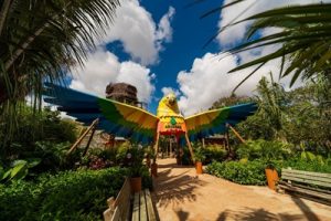 Parque Arvorar realiza programação especial de São João durante o mês de junho