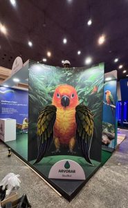 Parque Arvorar, do Beach Park, participa do Edu Summit 2026