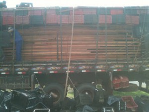 APREENDIDA CARGA ILEGAL DE MADEIRA