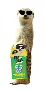 FERROVIA EYEWEAR COMEMORA DIA DOS PAIS COM SURICATE SEBOSO