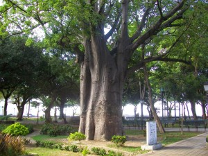 V Memórias de Baobá acontece no Passeio Público