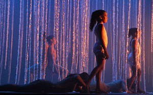 Exposição rememora os 33 anos da ONG Vidança