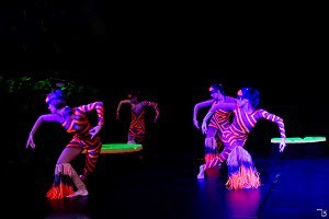 Espetáculo Ecos – Gritos que se perdem em cartaza na Caixa Cultural Fortaleza