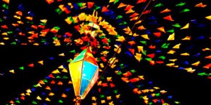 Abertas inscrições para seleções de pareceristas, coordenador e pesquisadores do Edital de Festejos Juninos 2015