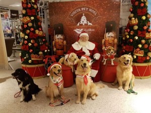 Papai Noel recebe visita de pets em shopping center