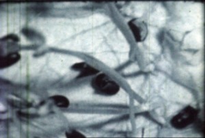 [RJ] Evento gratuito na Praça XV reúne artes plásticas, performances, dança, teatro