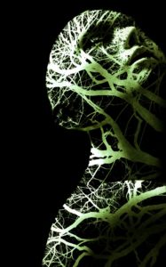 Galeria Mariana Furlani estreia na Casa Cor Miami