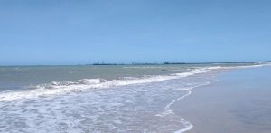 Festival Cultura Zen realiza ação de limpeza na Praia do Pecém