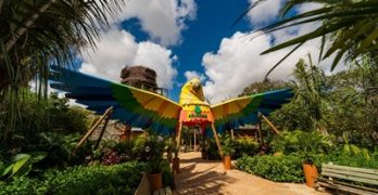 Parque Arvorar realiza programação especial de São João durante o mês de junho