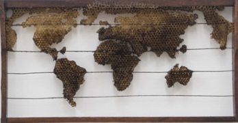 Artista transforma mel, cera e própolis em obras inéditas em exposição no Rio de Janeiro