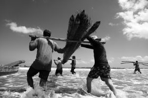 Exposição Vaqueiros do Mar  registra tradição centenária dos currais de pesca de Bitupitá